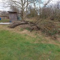 Der Sturm hat den ausgehöhlten Baum umgeworfen