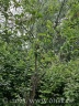 Gelaende 3
