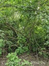 Gelaende 5