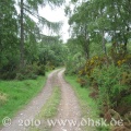 Weg zu unserer Unterkunft bei Cawdor