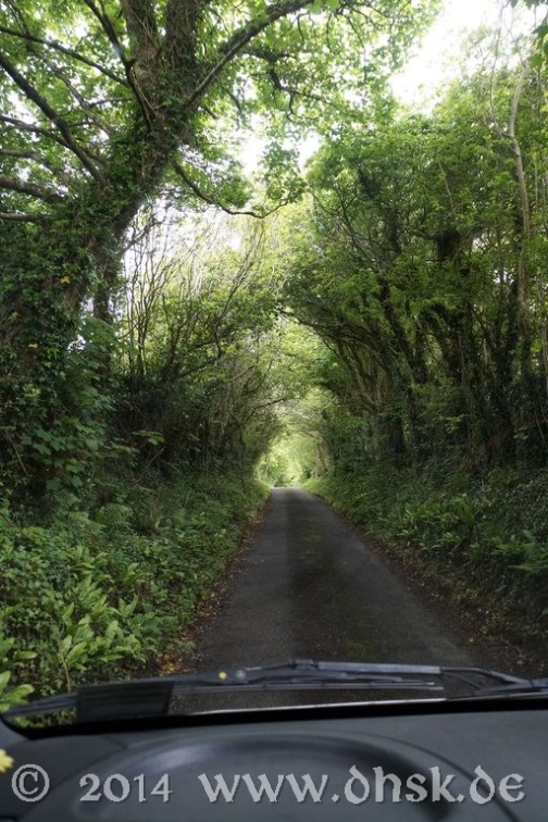 Hohle Gasse im Burren