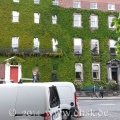 Bewachsenes Haus in Dublin