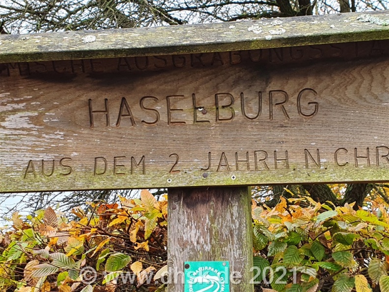 Haselburg_01.jpg