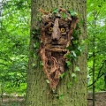 Der Baum hat ein Gesicht