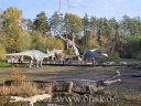 Dino Park 03