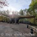 Dino Park 15