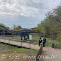 Dino Park 17