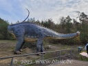 Dino Park 22