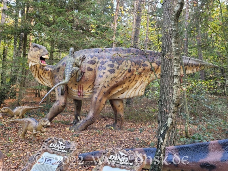 Dino_Park_36.jpg