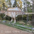 Dino Park 38