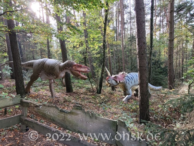 Dino Park 40