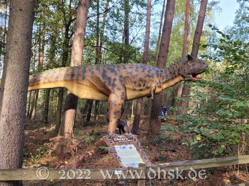 Dino Park 42