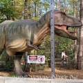 Dino Park 51