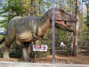 Dino Park 51