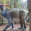 Dino Park 58