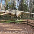Dino Park 59