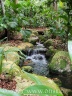 Ein Bächlein mit Mini-Wasserfall