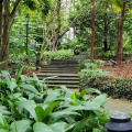 Treppe im Botanic Garden