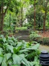 Treppe im Botanic Garden
