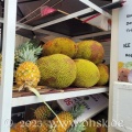 Durians neben den Ananas