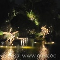 Auch die Libellen im Teich sind beleuchtet
