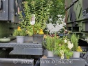 Hessentag 15