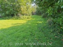 Auch die kleine Wiese ist gut gewachsen