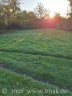 Die große Wiese in der Abendsonne