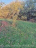 Die kleine Wiese