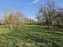 Die hintere Wiese im winterlichen Sonnenschein
