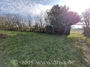 Auf der Wiese liegt noch Frost