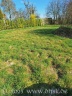 Die hintere Wiese hat Dauerweille ;)