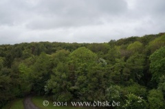 Blick auf den Wald